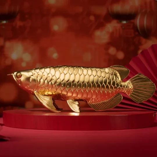 金龍魚