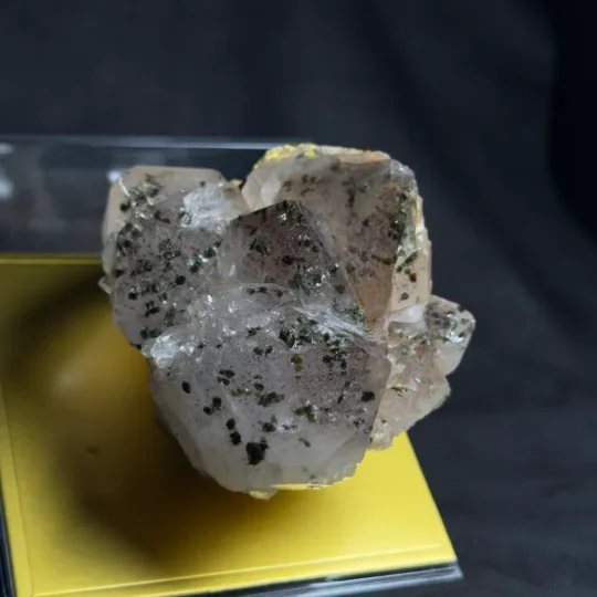 花園水晶晶中晶