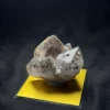 花園水晶晶中晶